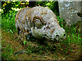 NT2538 : Boar sculpture, Haystoun Garden by Jim Barton
