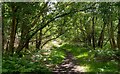 Path near Tunstall Common