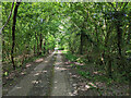 Public footpath Worth 34W