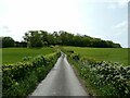 Rural lane heading uphill