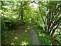 Path down the wooded valley