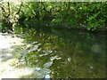 Part of the River Tanat / Afon Tanat at Llanyblodwel