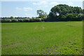 Farmland, Long Crendon