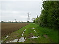 Field margin and pylon, Burnt House Corner