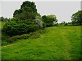 Footpath 195/5 climbing up from Upper Park Wood, Honley