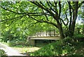 Footbridge at Rake Brook Reservoir