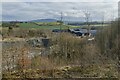 Lea Quarry at Wenlock Edge