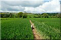 The Shropshire Way near Holdgate