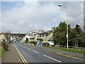 NH9022 : Main Road, Carrbridge, near Aviemore by Malc McDonald