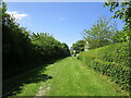 Bridleway to Corse Wood near Stream Farm