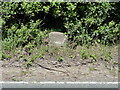 Old Milestone by A449, Redding End, Royal Oak