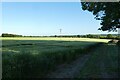 Fields south of Wighill Lane