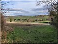 Countryside near Much Wenlock