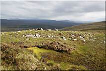 NC1608 : Terrain of Leathad Doire Ruaidhe by Julian Paren