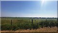 Fields at Middle Farm from The Packway