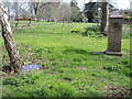 Spring by the fountain