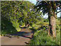 Minor road near Crookedshields