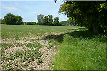 SU0774 : Farmland, Winterbourne Bassett by Andrew Smith