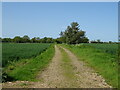 Track to Hill House Farm