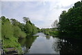 The River Wear flowing north from Durham city centre