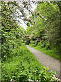 Path of Castle Eden Walkway approaching brick-built bridge