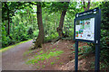 Visitor Board, Lesnes Abbey Woods