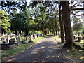 Claddfa Bryn y Gaer / Bryn y Gaer Cemetery