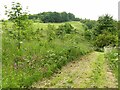 Public footpath through Ramsdale Park