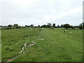 Shropshire Way south of Melverley Green