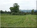 Llanymynech cliffs become visible from the Shropshire Way path