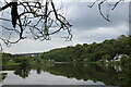 River Wear at Stony Heugh