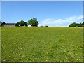 Hay Barn Meadow