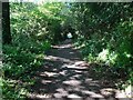 Chewton Common Road Path