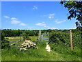 Footpath to Tenchleys Manor