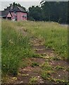 Path past unmown grass, Ganarew