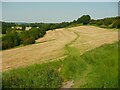 Footpath 24, Thorner