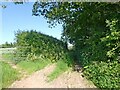 Farm track, near Northway