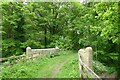 Hag Bridge, Lumley Park