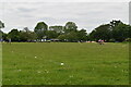 Clapham Common