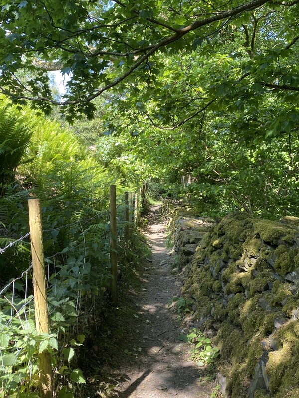 Woodland path © Alan Hughes :: Geograph Britain and Ireland