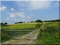 Track through farmland