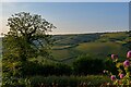 Kentisbury : Countryside Scenery