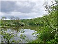 The Wear flowing past Stony Heugh