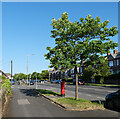 Roose Road (A5087), Barrow-In-Furness
