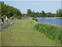NT1695 : Lochore Meadows Country Park by Oliver Dixon