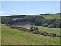 Ettrick Water