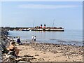 SS9747 : Paddle steamer Waverley by Marika Reinholds