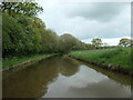 Shropshire Union canal near Brownhills Wood