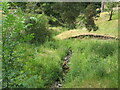 Linglie Burn in Linglie Glen