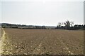 Farmland by footpath